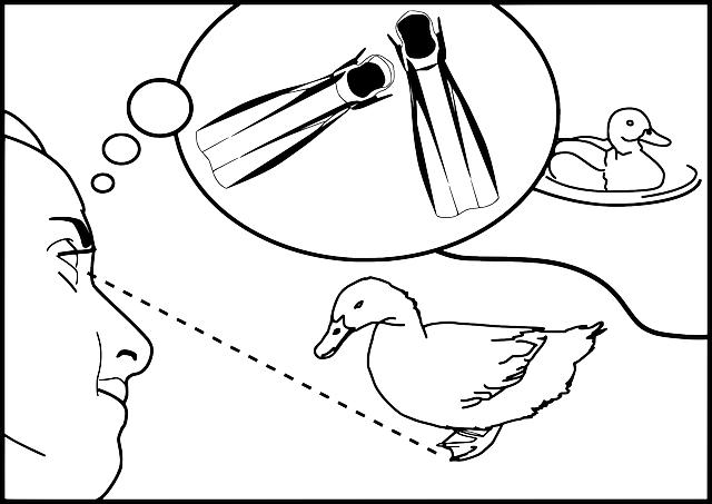 Jak se objevuje had ve snech