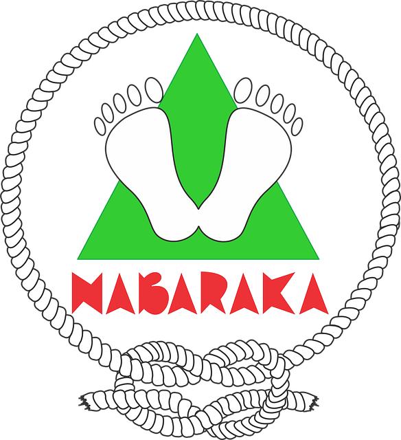 Jaká je historie snového lexikonu plakar