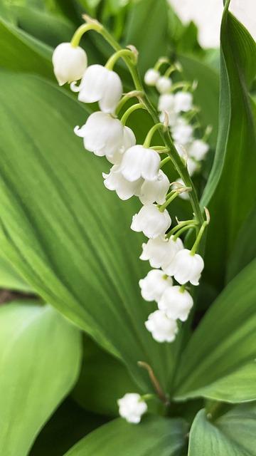 Jak mohou sny o jídle nebo skle odrážet vaše skryté emoce