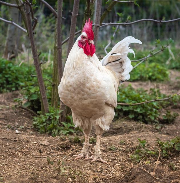 Kdy je vhodné vyhledat pomoc odborníka na sny