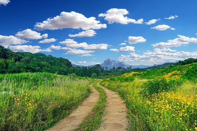 Jakým způsobem lze využít poznatky z analýzy snů k podpoře duševního zdraví?