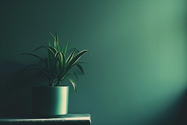 Jak lépe porozumět vašim erotickým fantaziím