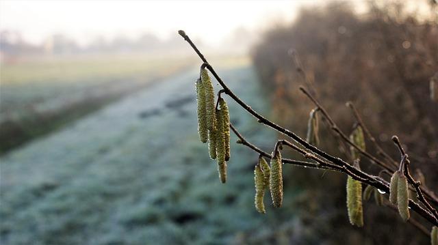 Jak si můžete pomocí snů plánovat a zlepšovat financí S radou odborníka na výklad snů