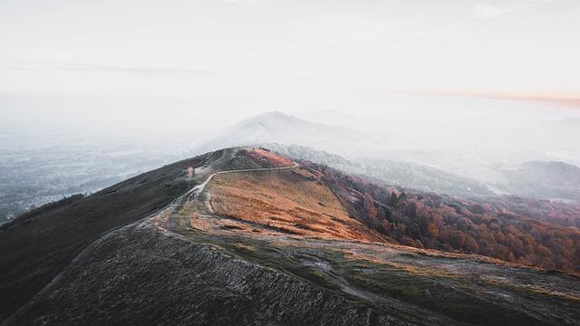 Exploring the Psychological Meaning Behind Worm Dreams