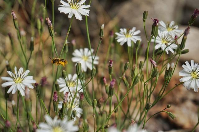 Jaká je symbolika sny o přípravě jídla?