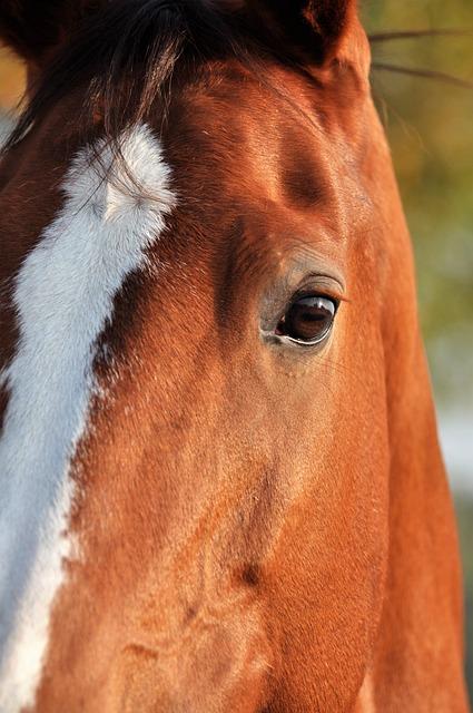 Pochopení emocí spojených se snem o pohřbu